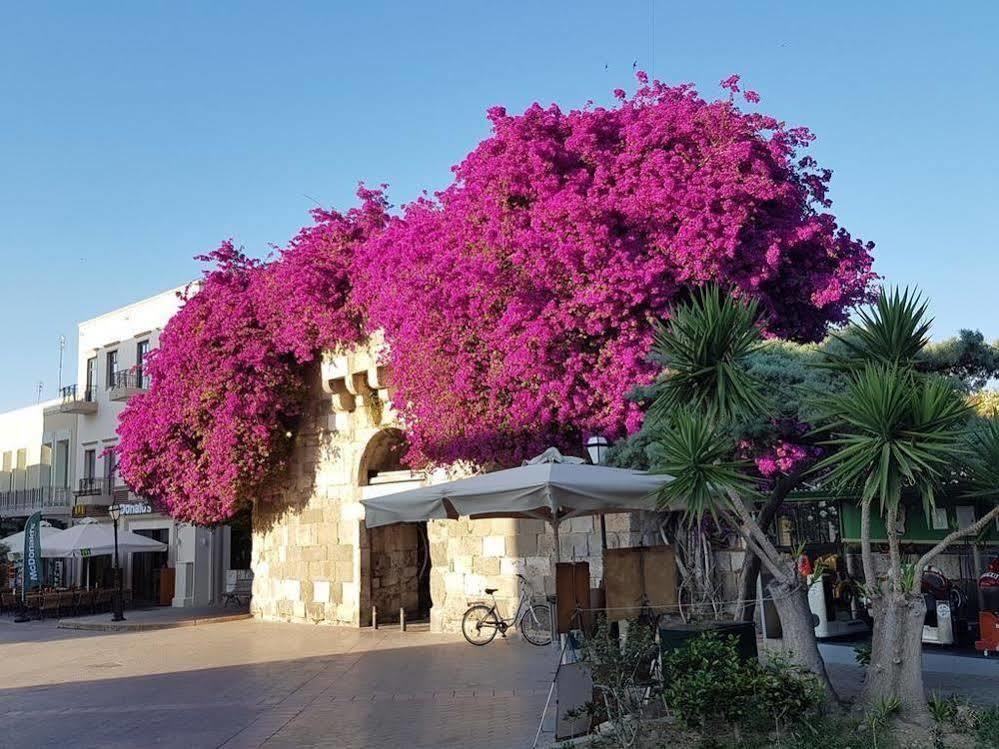 Paradise Hotel İstanköy Dış mekan fotoğraf